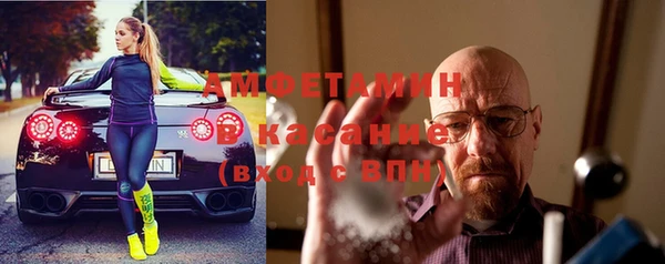 индика Кулебаки
