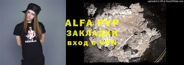 индика Кулебаки