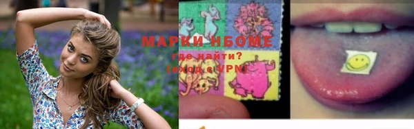apvp Кукмор