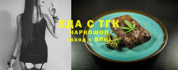 индика Кулебаки