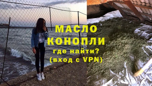 индика Кулебаки