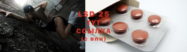 индика Кулебаки