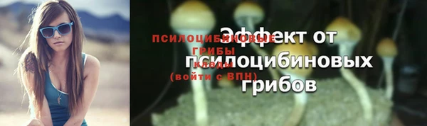 2c-b Куйбышев