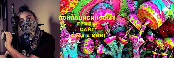 индика Кулебаки