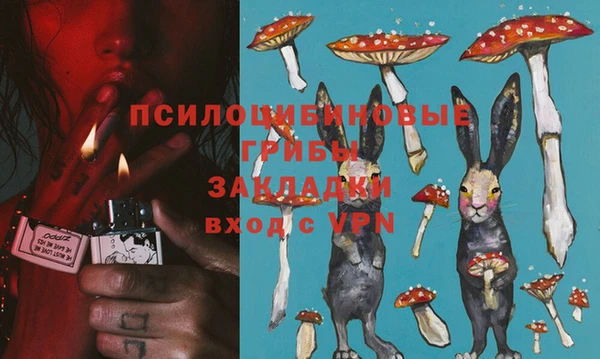 apvp Кукмор