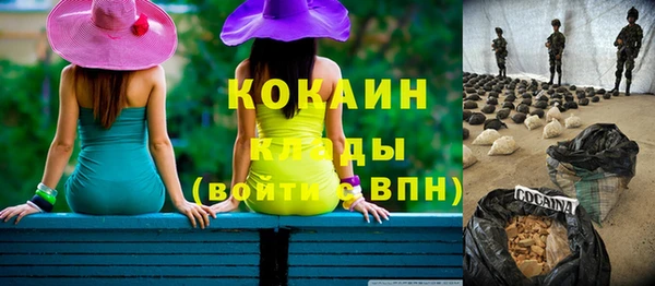 apvp Кукмор