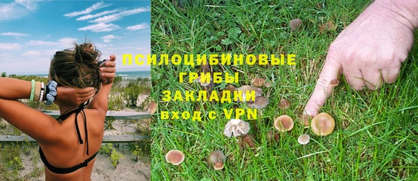 индика Кулебаки