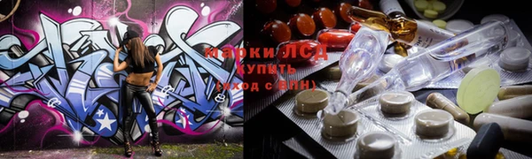 индика Кулебаки