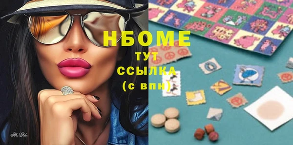 индика Кулебаки