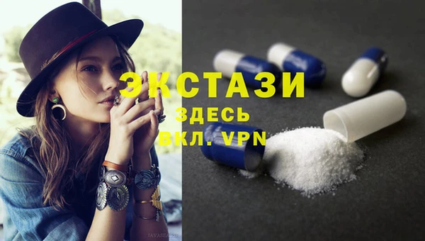 индика Кулебаки