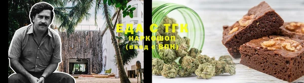индика Кулебаки